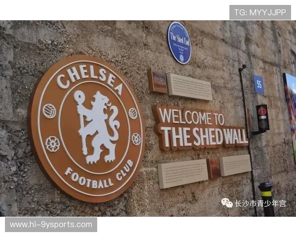 诺维奇俱乐部百年沉浮与英格兰足球梦想之路探索历史传承与未来展望 诺维奇俱乐部百年沉浮与英格兰足球梦想之路探索历史传承与未来展望